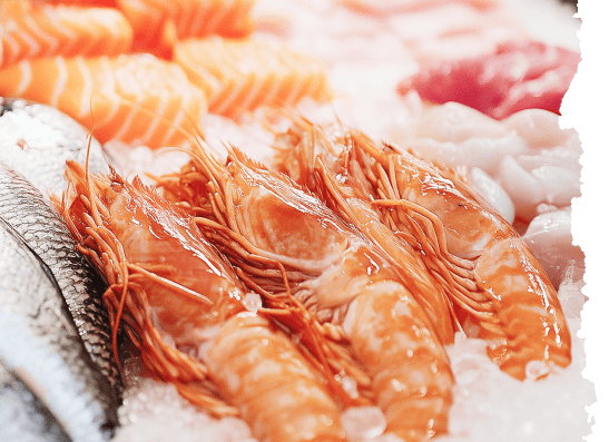 Fresh and healthy handrolls